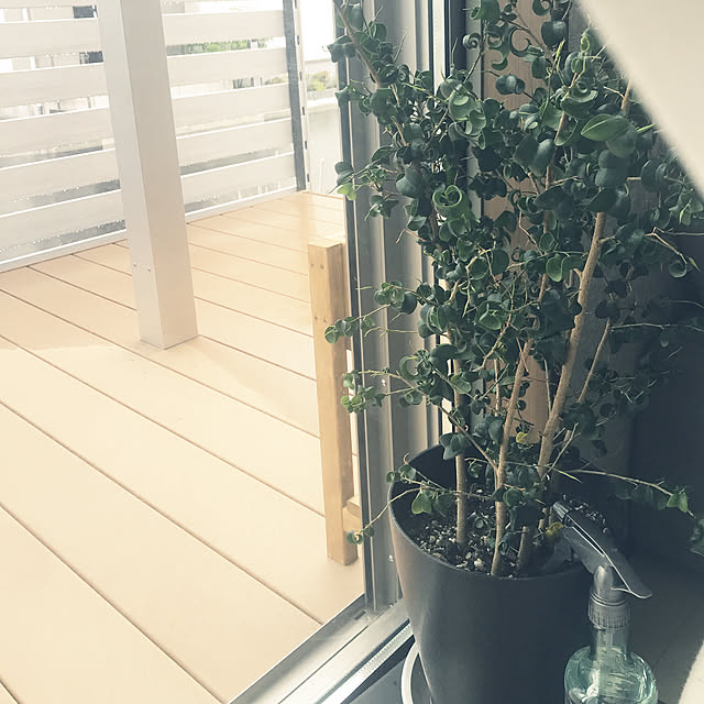 92さんの実例写真