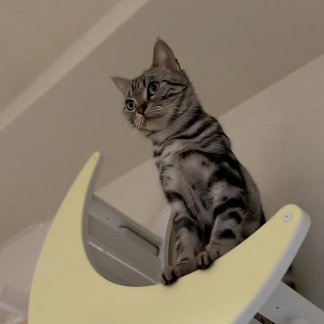 Yuki_with_a_tailさんの部屋