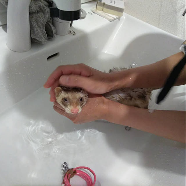 Satokoさんの実例写真