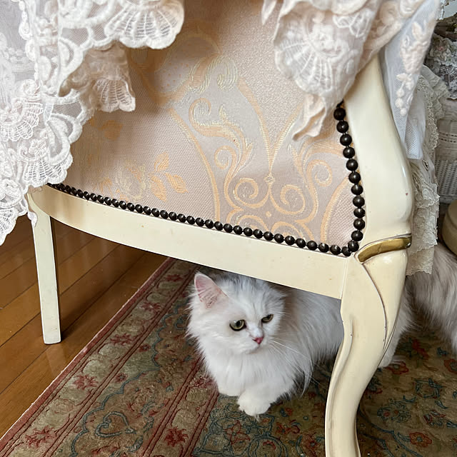 AYUKOさんの部屋