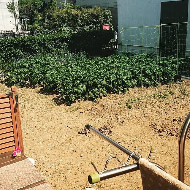 mom_mamaさんの実例写真