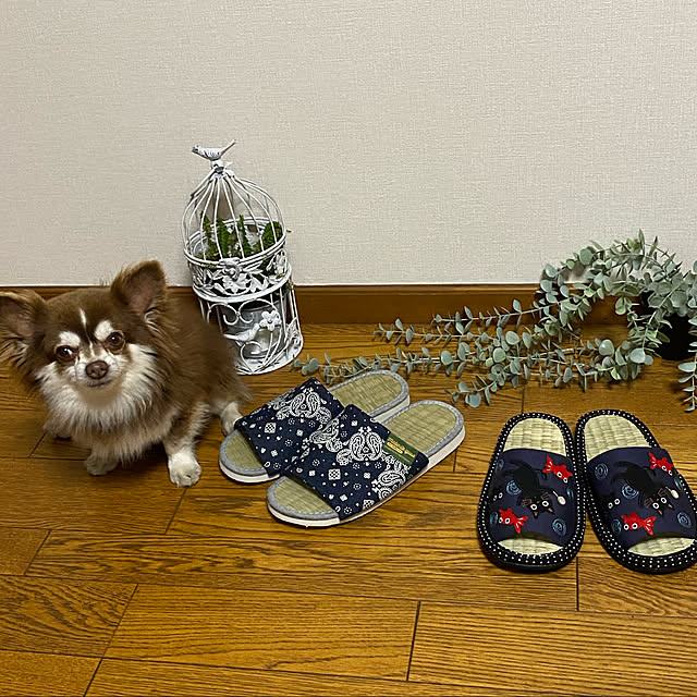 chIoeさんの実例写真