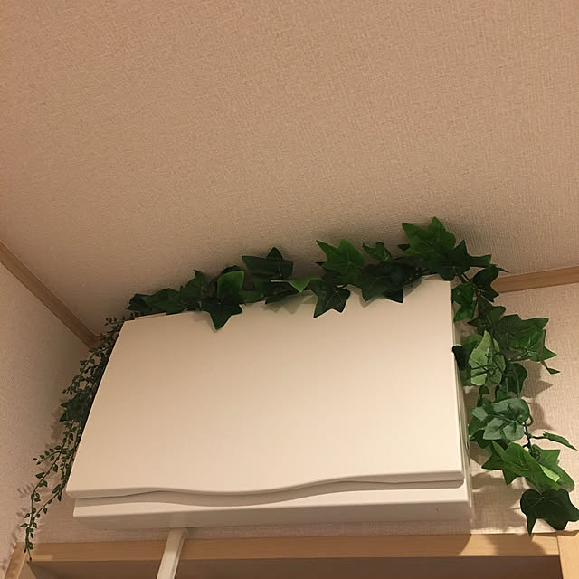 alohamamaさんの実例写真