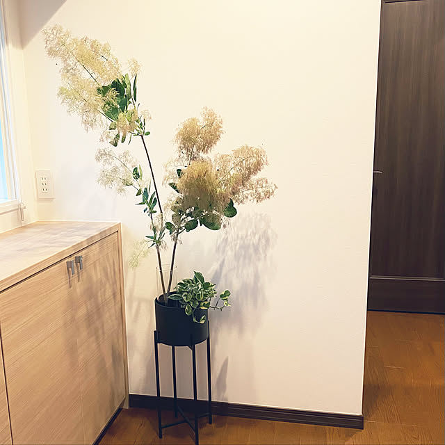 nashichanさんの実例写真