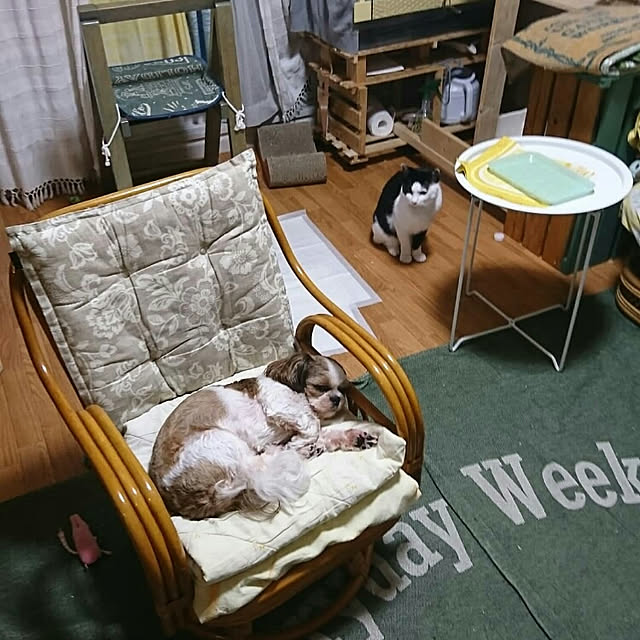 SHIHOさんの実例写真