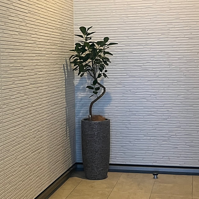 mocoさんの実例写真