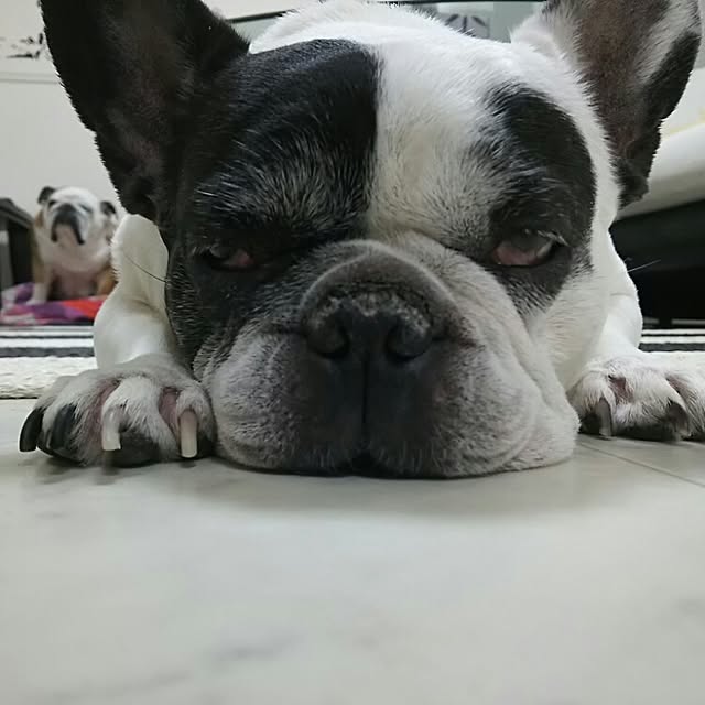 AandPさんの実例写真