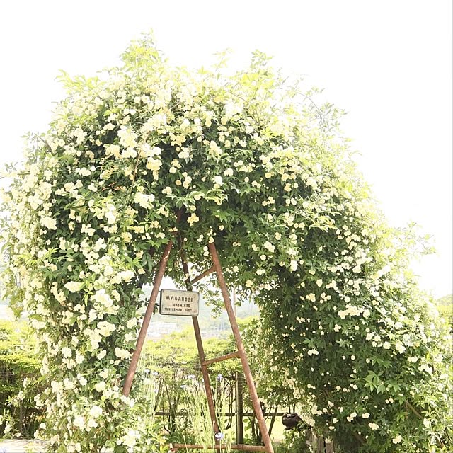 S.homeさんの実例写真