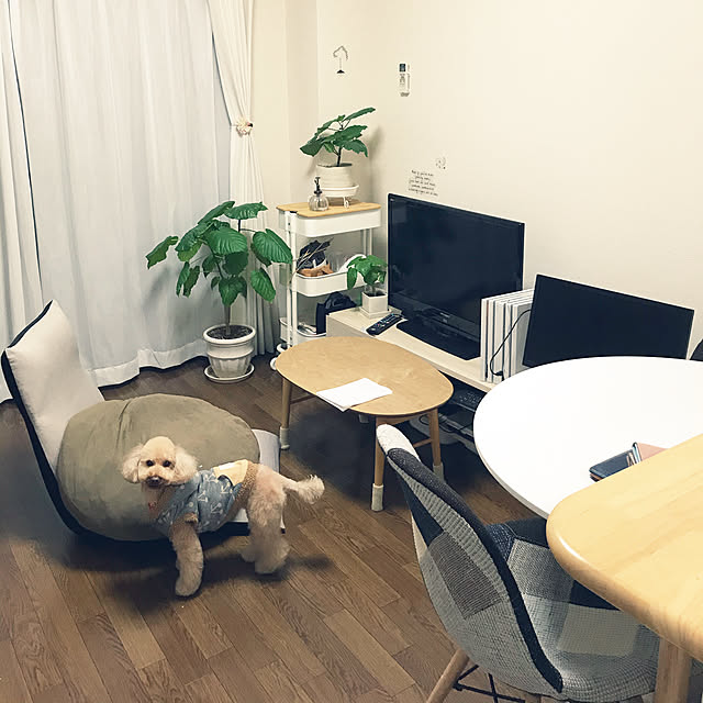 hana_lepetalさんの実例写真