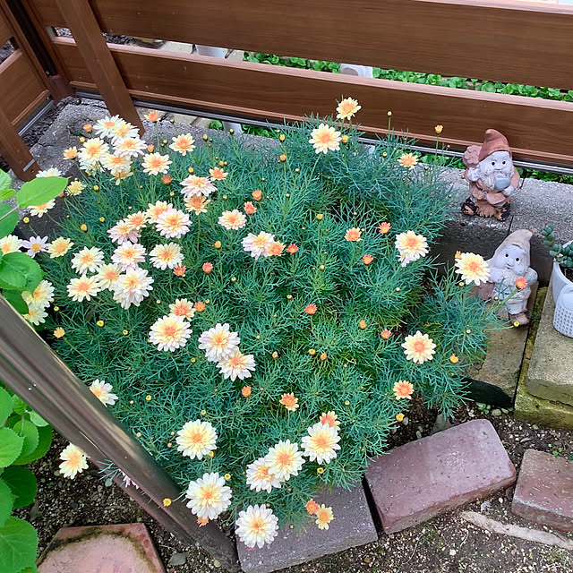 haruminさんの実例写真