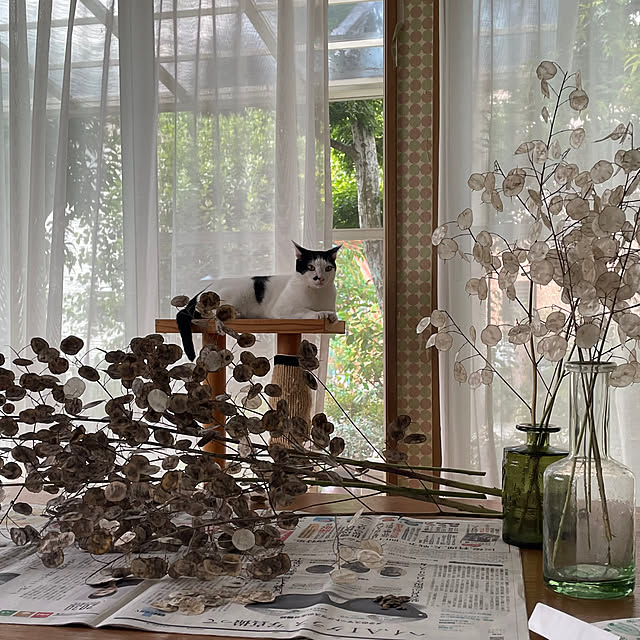 nobikoさんの部屋