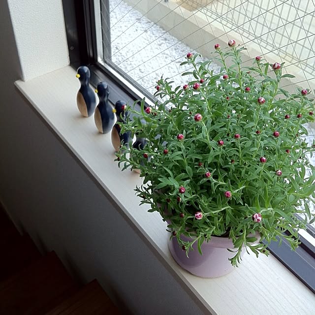 takkさんの実例写真