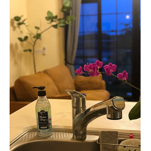 syungikuさんの実例写真