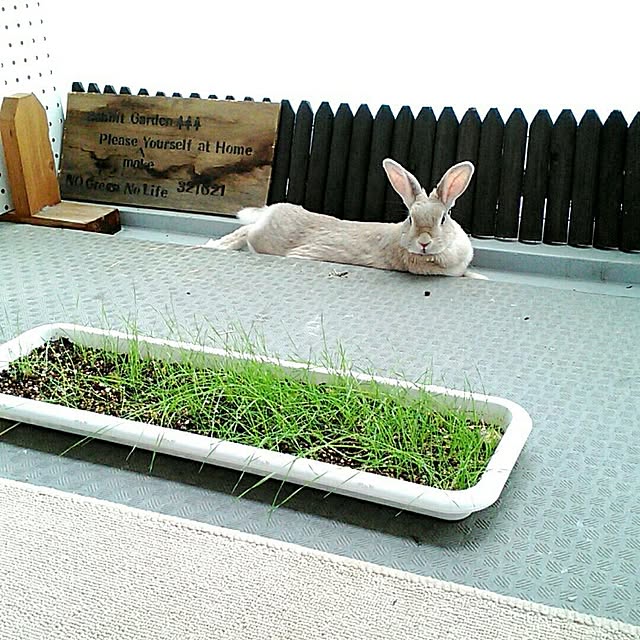 sachiko283さんの実例写真