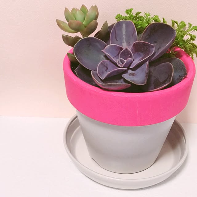 necocoroさんの実例写真