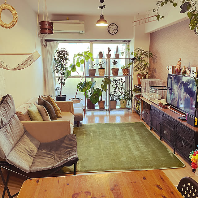plants.fjkさんの実例写真