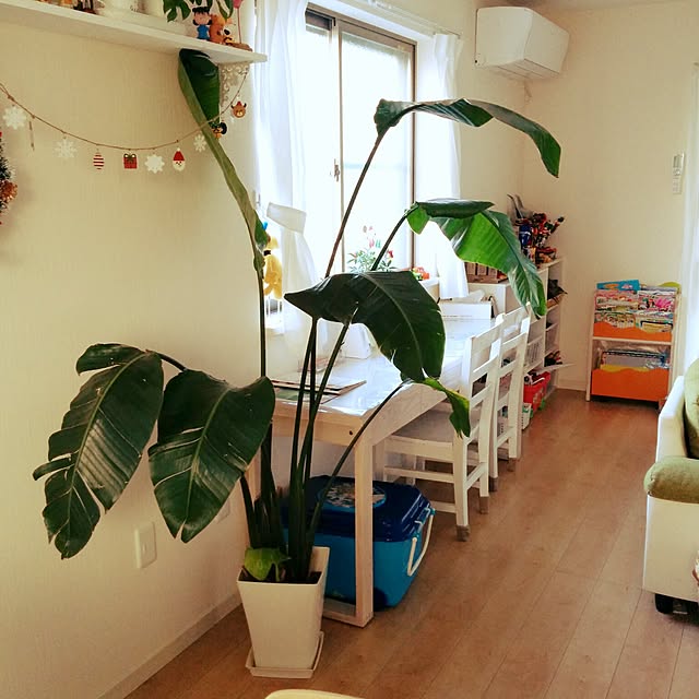 yanagikyoukoさんの実例写真