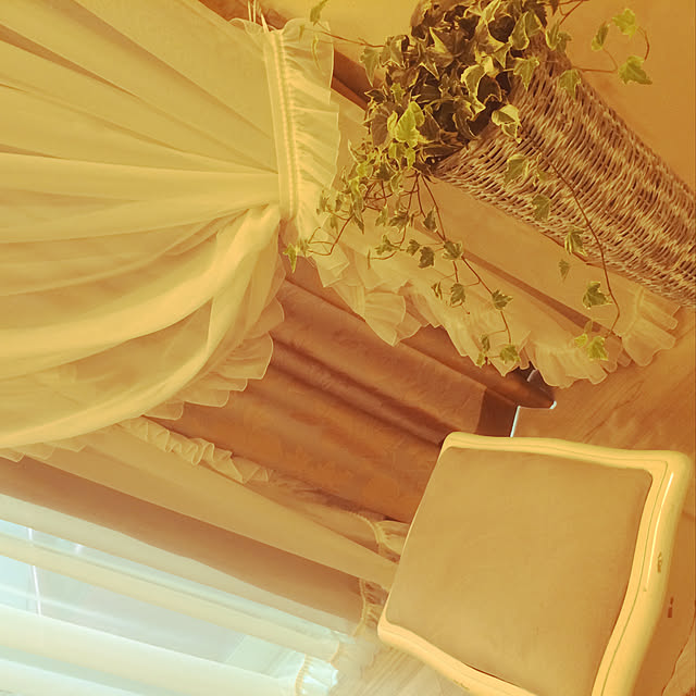 部屋全体/観葉植物のインテリア実例 - 2019-01-26 22:37:27