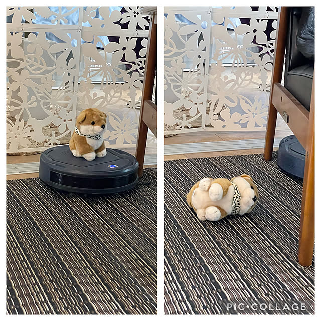 aureaさんの実例写真