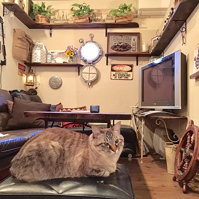 rosemaryさんの実例写真