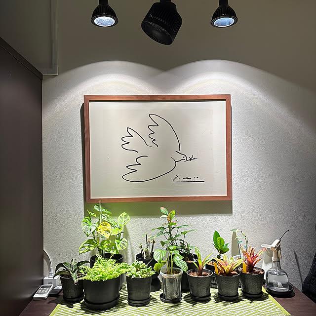 chk3さんの実例写真