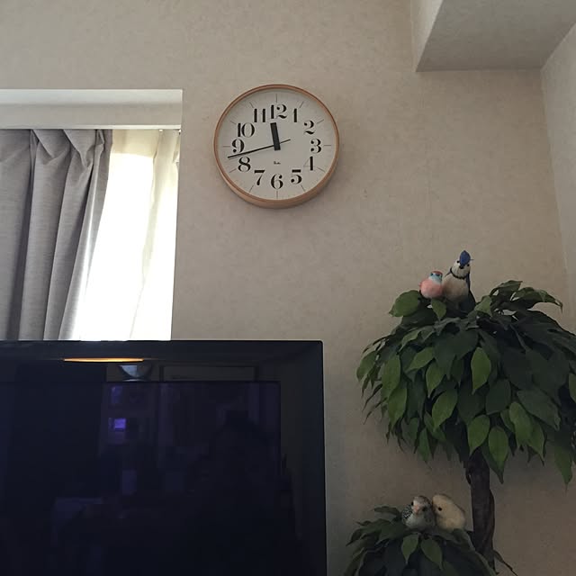 motohashi0820さんの実例写真