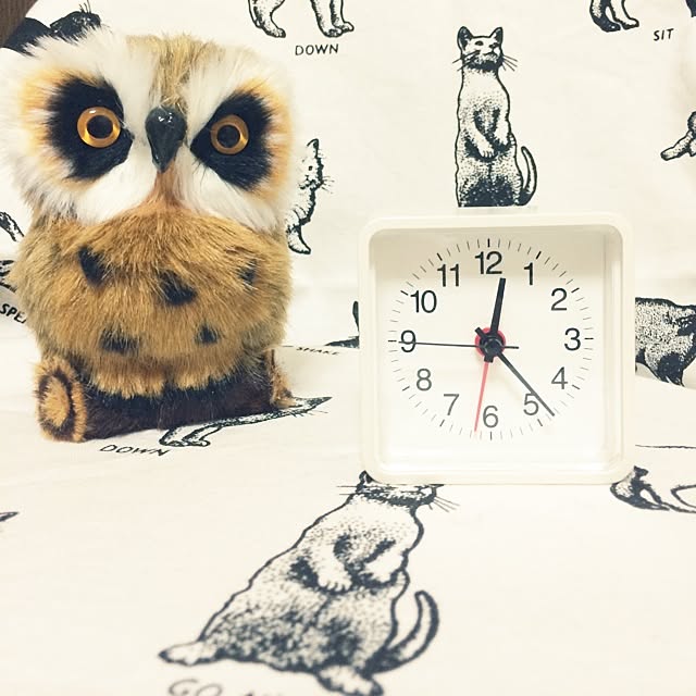 Junjunpukupukuさんの実例写真