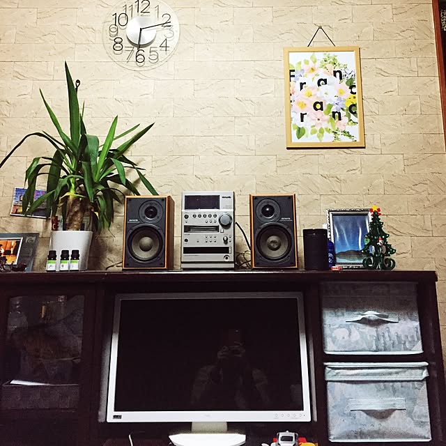nyanchuuさんの実例写真