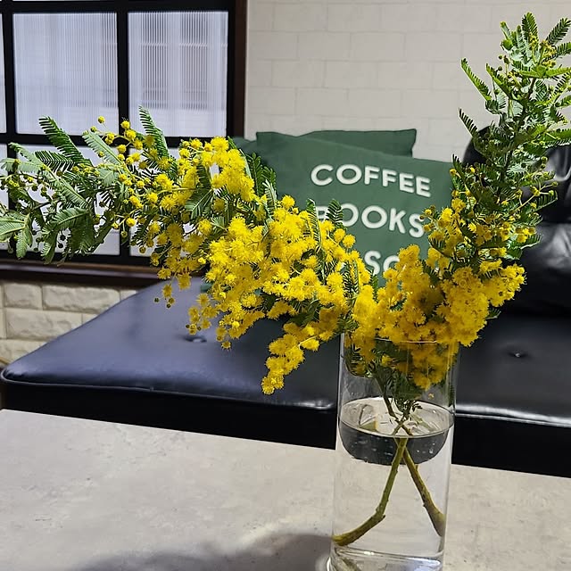 opiopiopiさんの部屋