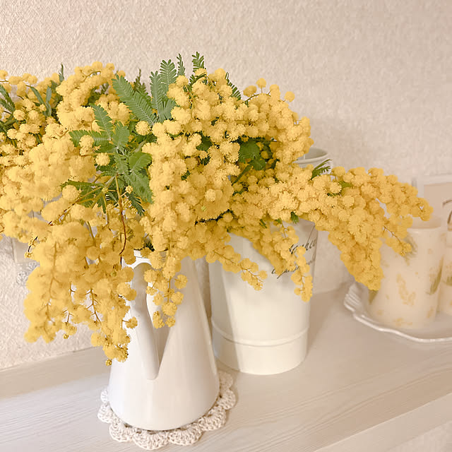 nariiiさんの実例写真