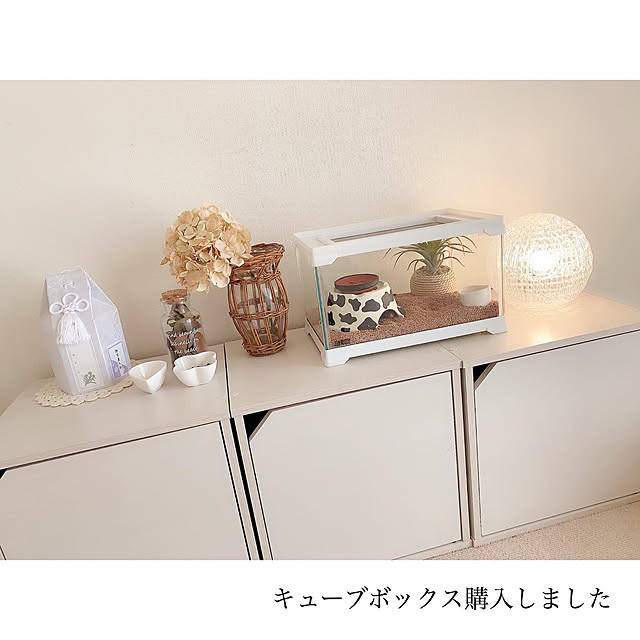 chaluさんの実例写真