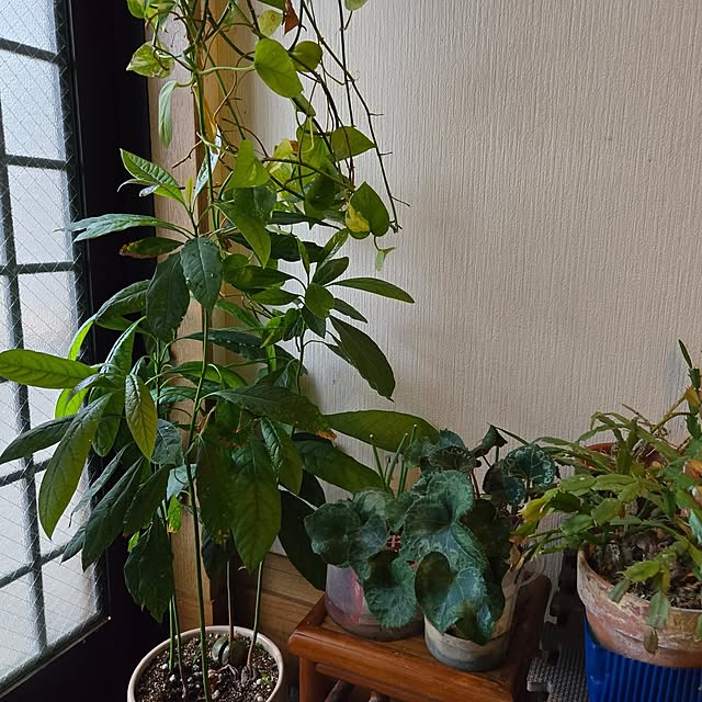 mitsuyama3136さんの部屋