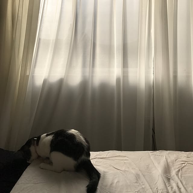 Shihoさんの実例写真