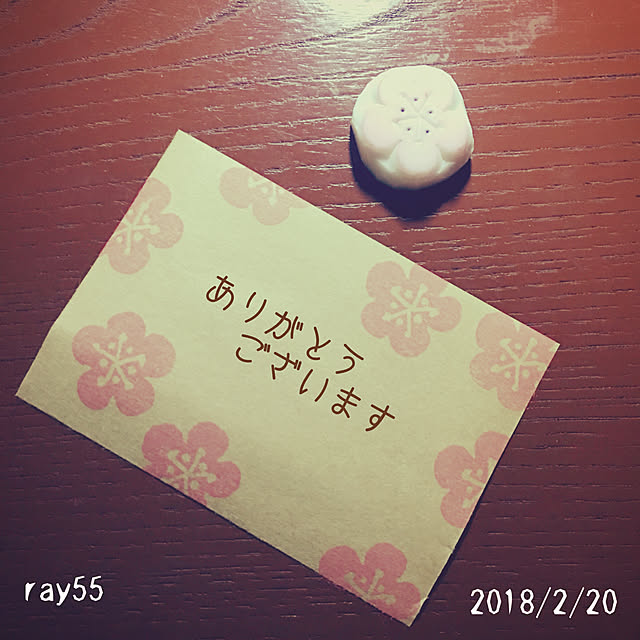 ray55さんの実例写真
