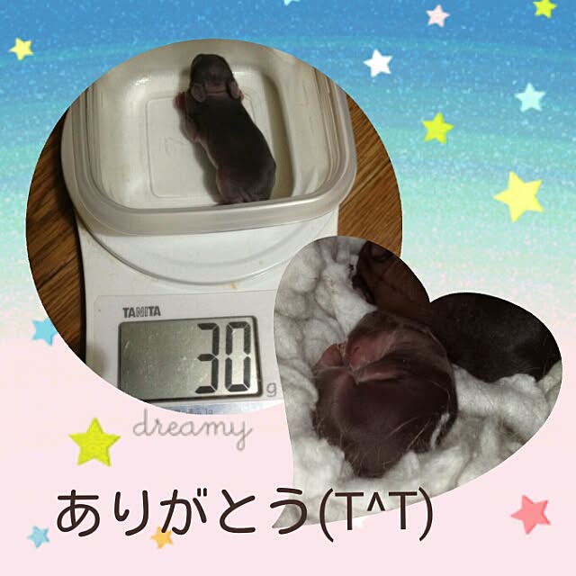 ChocolateNandasさんの実例写真