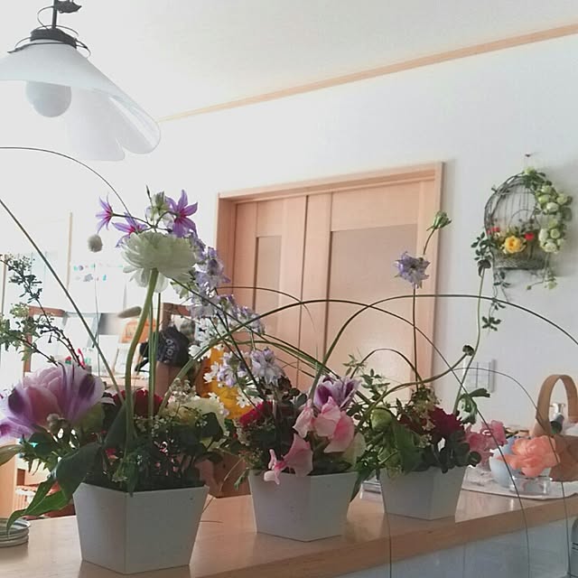Mikikoさんの実例写真