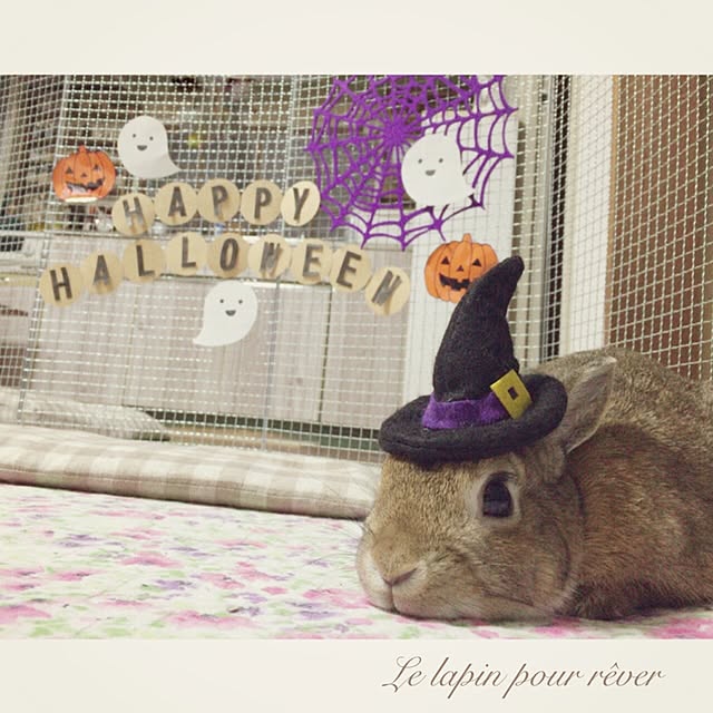 mashiさんの実例写真
