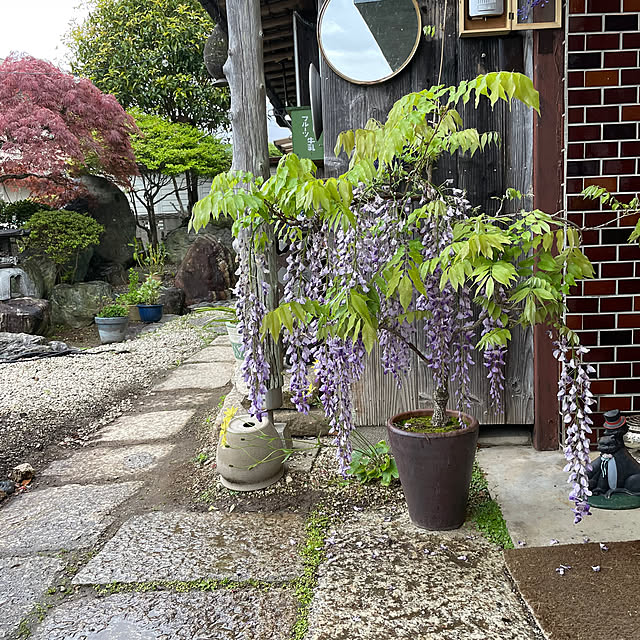 shin0719さんの部屋