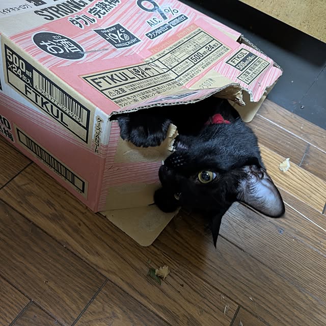 asaさんの部屋