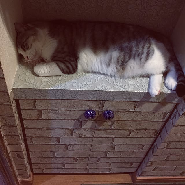 emmyyさんの実例写真