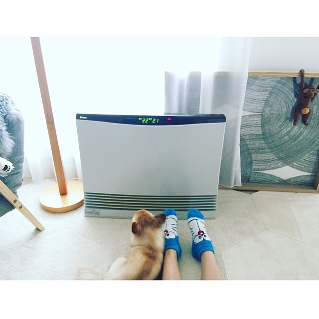 haruhinaさんの実例写真