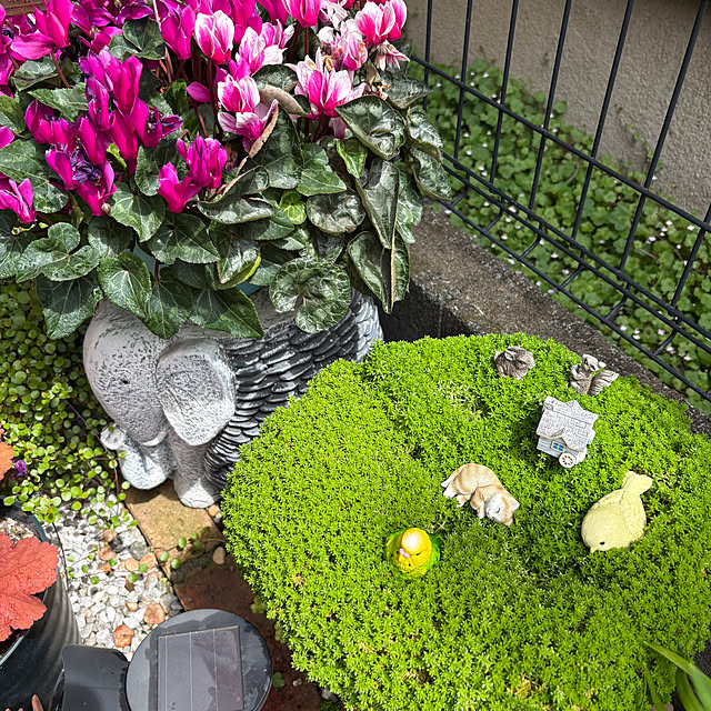 nannoさんの部屋