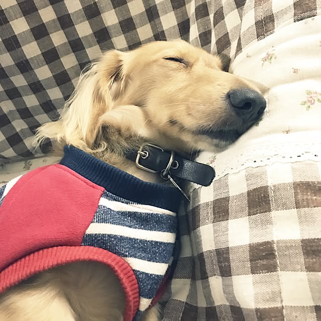 -Riley-mama.-さんの実例写真