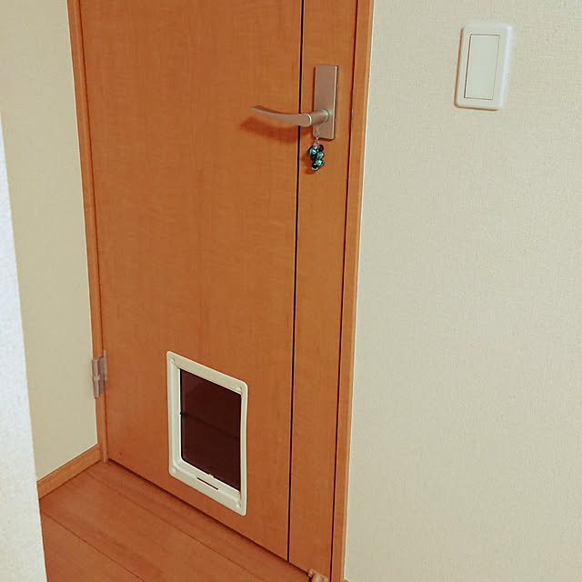 noguriさんの実例写真