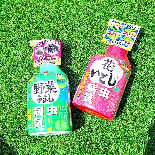 prettychieさんの部屋