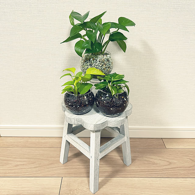 yoyoyoさんの実例写真