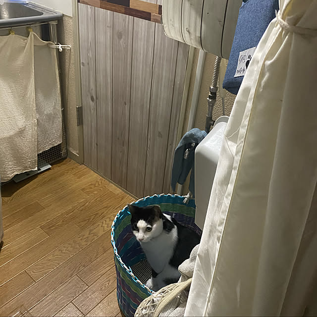 SHIHOさんの実例写真