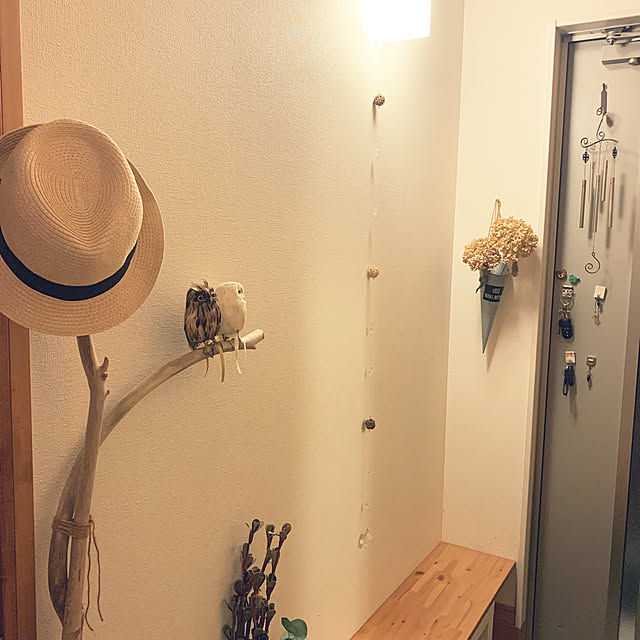 viviさんの実例写真