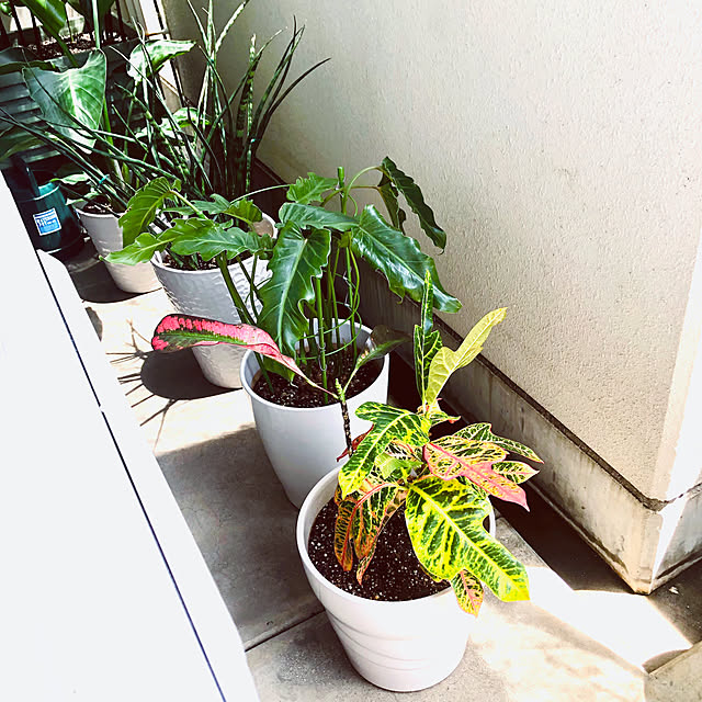 hanachanさんの部屋