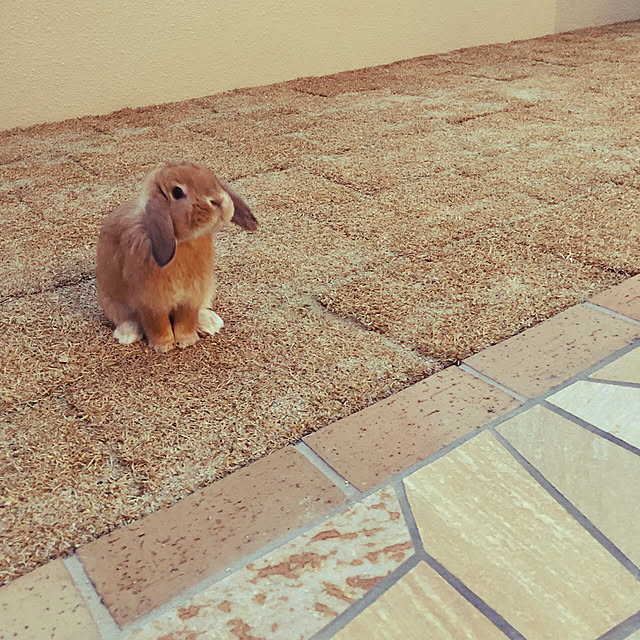 nanaさんの実例写真